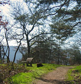 Gernsbacher Runde bei Staufenberg