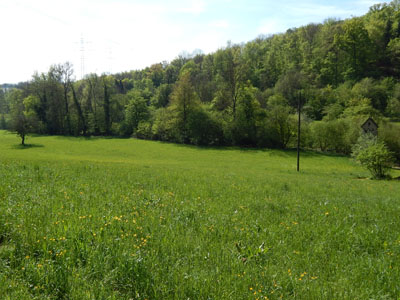 Im Tal auf dem Weg nach Ruit
