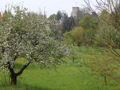 Burg Obergrombach