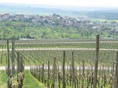 Blick auf das 'Oberdorf' von Hohenhaslach