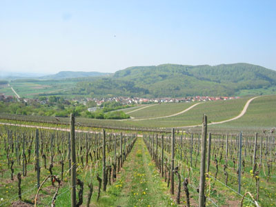 Der Berg gegen�ber