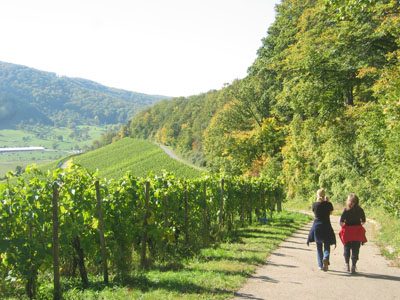 In den Weinbergen