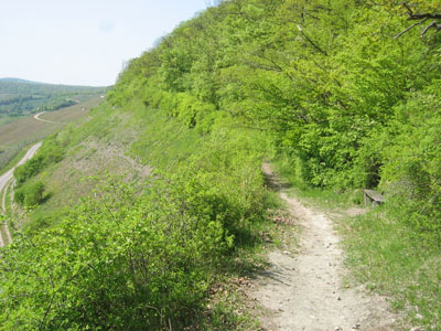 Ottweg